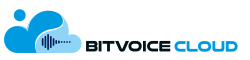BitVoice Cloud Logo - Contact Us for CRM Solutions